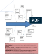 Diagrama Causa Efecto)