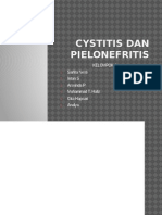 Cystitis Dan Pielonefritis