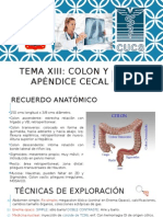 Aparato Digestivo El Colon, Imagenologia. Dr. Nicolas 