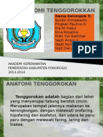 Anatomi Tenggorokan Akper Oemkap Ponorogo