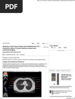 Anatomy of The Thorax (CT)