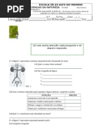 FA Plantas Alimentaçao