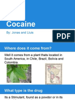 Jonas and Lluis's Cocaine Presentation
