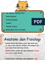 dokter kecil 1