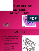 Mecanismul de Actiune A Insulinei