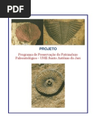 Programa de Preservação Do Patrimônio Paleontológico - UHE Santo Antônio Do Jari