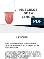 Musculos de La Lengua