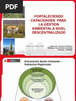 2015.01.30 SLGA Ayacucho