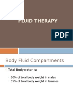 Fluid Therapy Adel