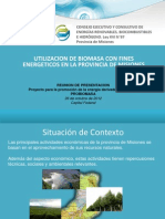 Biomasa Misiones PDF