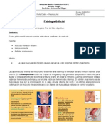 12. (05!06!2012) Patologia Orificial