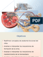 Fisiologia Renal. Parte i