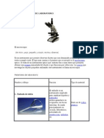 10 Instrumentos de Laboratorio