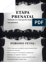 ETAPA PRENATAL.pptx