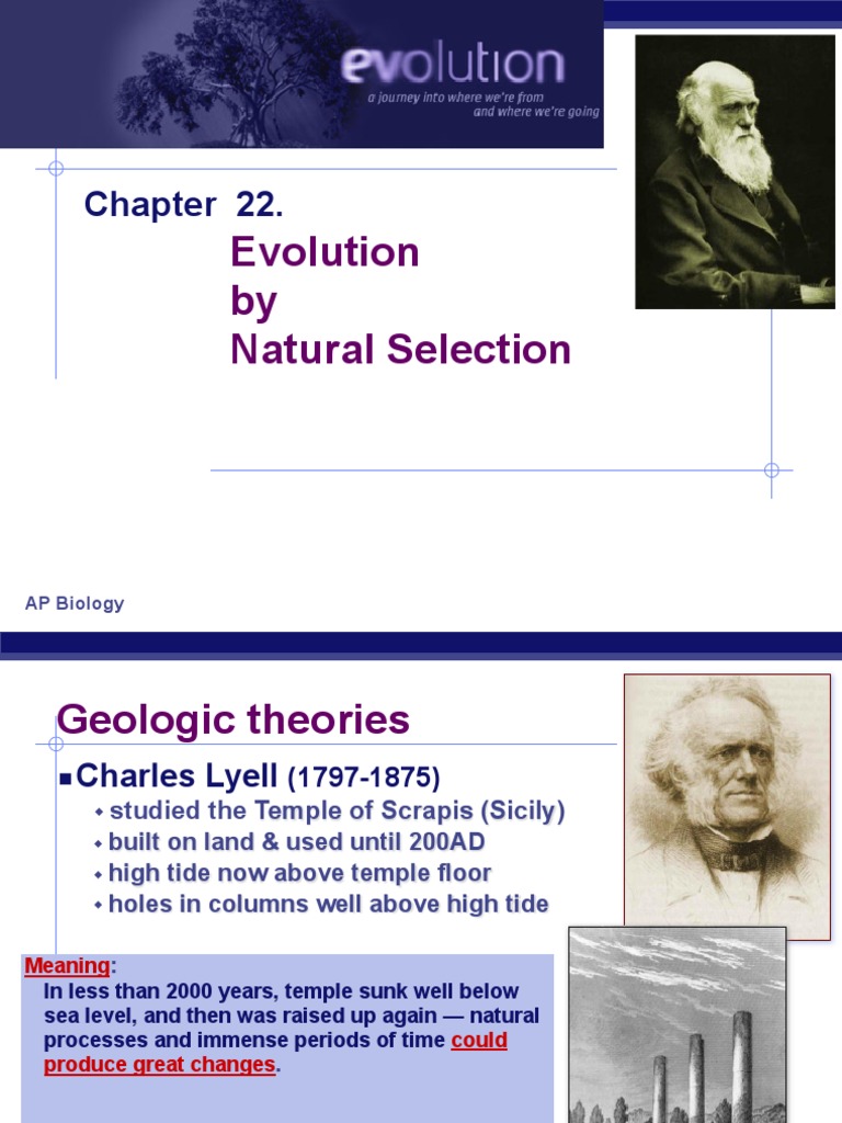 Ap Biology Chapter 22 Darwin PDF Natural Selection Species