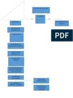 Flujograma Nutricion Celular