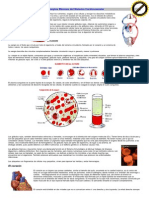 Conceptos Básicos Del Sistema Cardiovascular