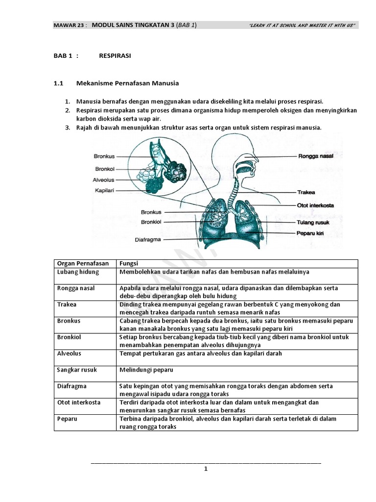 Nota Sains Tingkatan 3 Bab 3 Riset