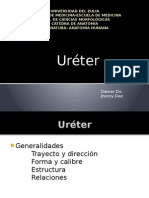 URÉTER