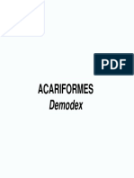 Acariformes