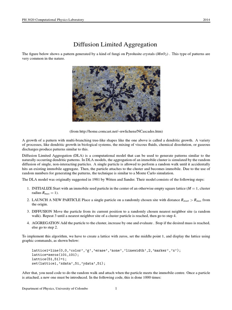 Diffusion Limited Aggregation Model | PDF | Monte Carlo Method | Particle