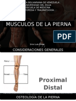 Musculos de La Pierna