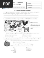 Teste Agua 5 Ano 2ºP