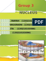 Nucleus Fix