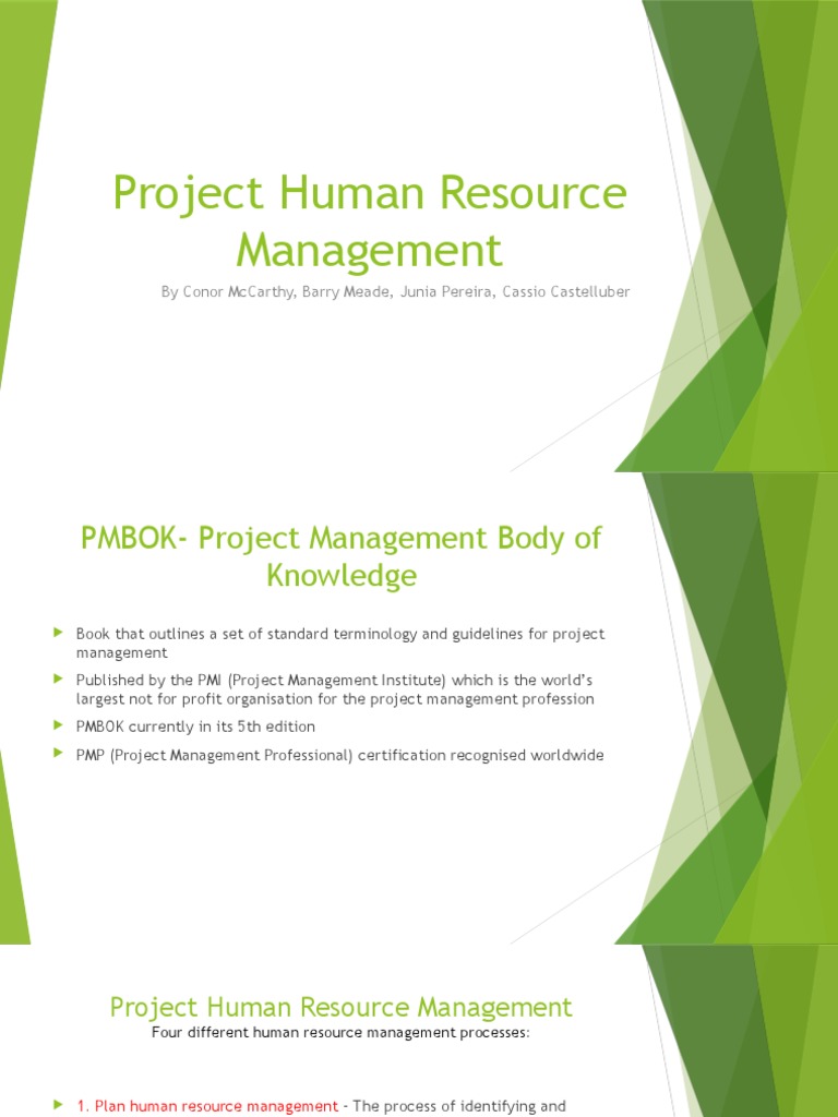 Project Human Resource Management Group Presentation | PDF | Project ...