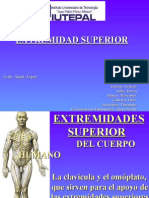 Diapositiva Extremidades Superiores Del Cuerpo Humano MARIA ALEJANDRAS