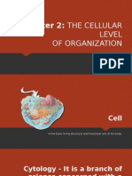 Chapter 2 Cell