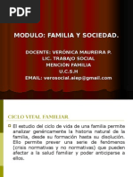 Desarrollo de Etapas de La Familia Psicosocial