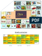 Oca Ortografica Plurals