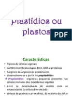 Cloroplastos e Fotossintese