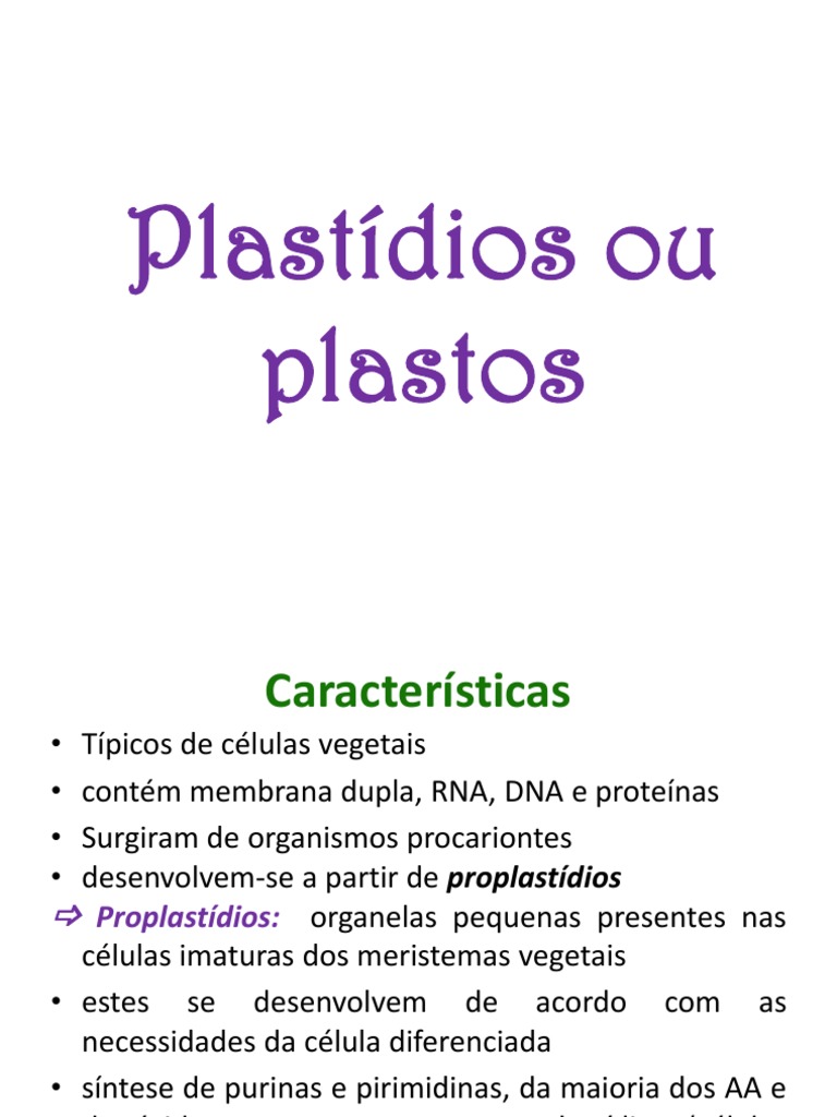 Plastídios e cloroplastos: estrutura e função | PDF | Cloroplastos ...