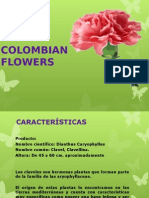 Colombian Flowers Final