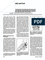 Anatomy of The Ankle and Foot