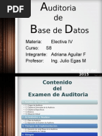 auditoria de base de datos