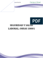 Seguridad y Salud Laboral Ohsas 18001