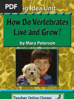 Download Vertebrates 2 by annettetomlars SN25839113 doc pdf