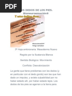 Biodescodificación de los Dedos de la Mano | PDF | Las emociones ...