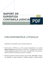 Raport de Expertiza Contabila Judiciara