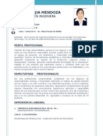 Curriculum Vitae