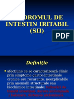 Sindromul de Intestin Iritabil (Sii)