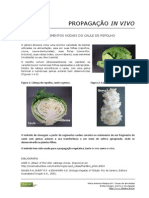 49 Propagacao in Vivo (Repolho) PDF