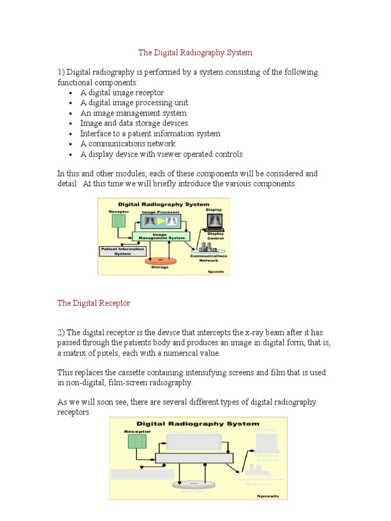 The Digital Radiography System PDF Computer Data Storage Medical
