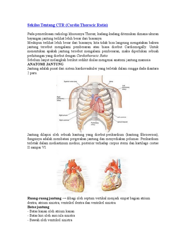 Pengukuran Cardiothoracic Ratio (CTR) | PDF | Metode & Bahan Ajar