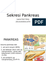 Sekresi Pankreas