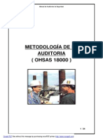 MANUAL AUDITOR OHSAS.doc - ManualAuditoriaOHSAS.pdf