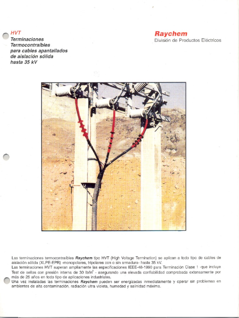 Raychem | PDF
